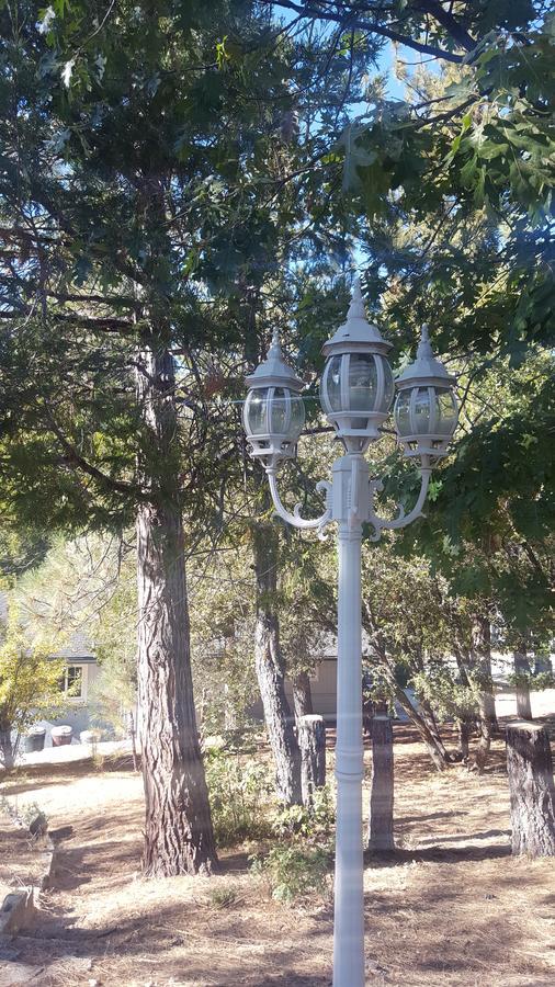 Bluebird Cottage Inn Idyllwild Exteriér fotografie