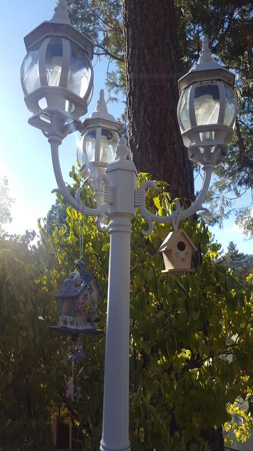Bluebird Cottage Inn Idyllwild Exteriér fotografie